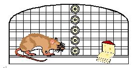 ·Ç·²¹ú¼Ê(ÖйúÇø)-¹Ù·½ÍøÕ¾